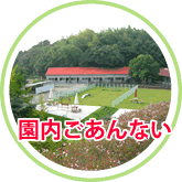 ����������Ȃ�